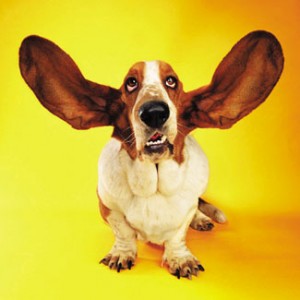 active_listening-791684